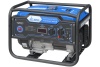 Бензиновый генератор ТСС SGG 3000N с АВР